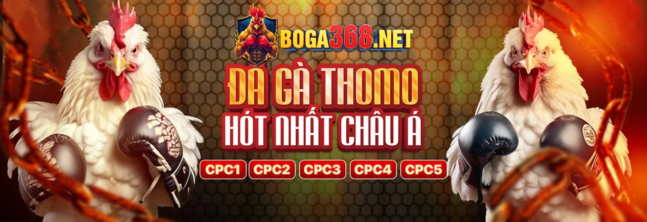 Tổng quan các môn thể thao tại 13win12